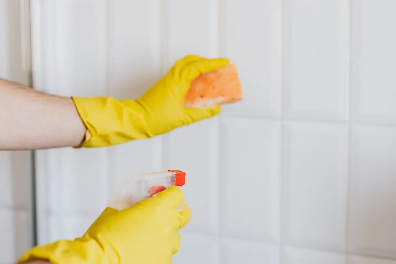 Weekly home cleaning service in Fareham